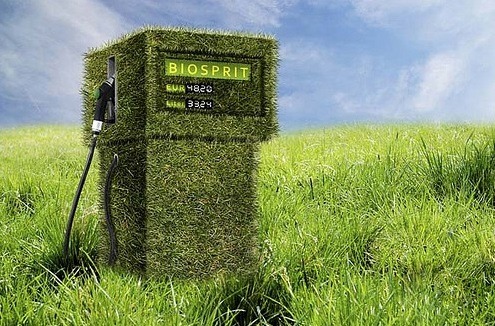 Как сделать биотопливо в домашних условиях